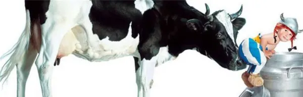ярославская порода коров