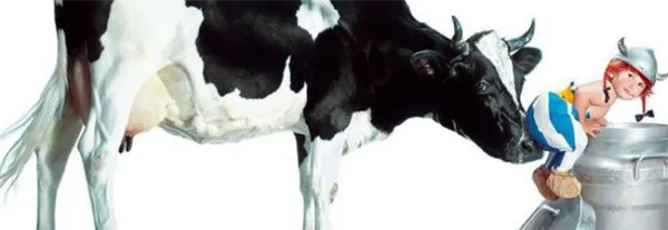 ярославская порода коров