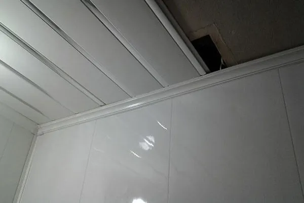 панели для потолка в ванную комнату