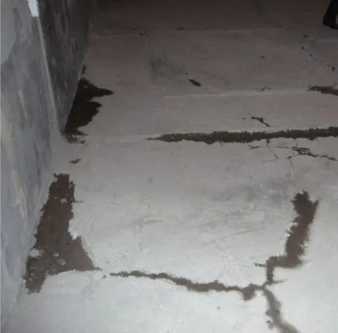 трещины и сколы необходимо расшить, зачистить и залить бетонным составом