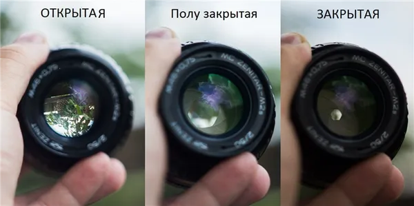 принцип работы и устройства фотоаппарата: подробная схема из чего состоит техника. из чего состоит фотоаппарат. 2