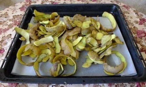 6 способов использовать картофельные очистки как удобрение. картофельные очистки как удобрение. 2