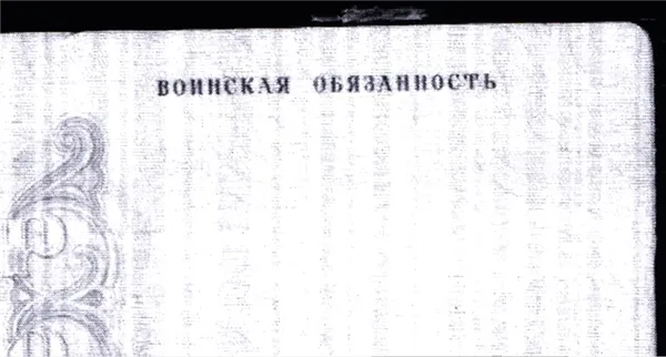полосы точками на ксерокопии паспорта