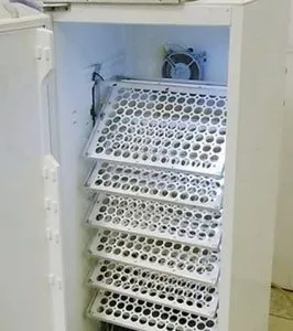 как сделать из холодильника инкубатор