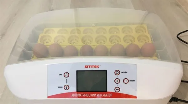 какими бывают инкубаторы и как их выбрать. как выбрать инкубатор для яиц. 2
