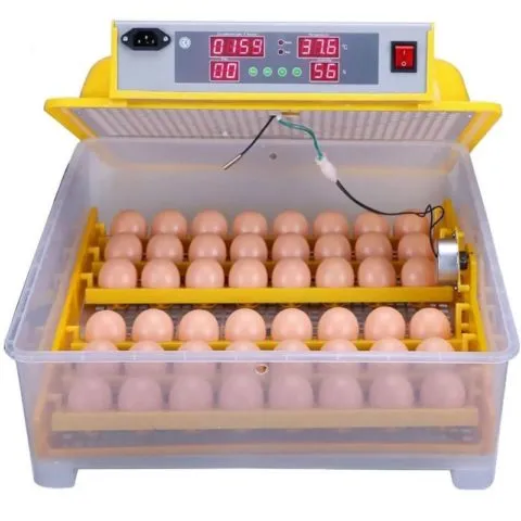 рейтинг инкубаторов для яиц 2023 года: с автоматическим переворотом, виды, топ-10 лучших