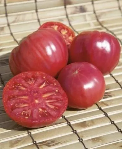томат малиновое виконте