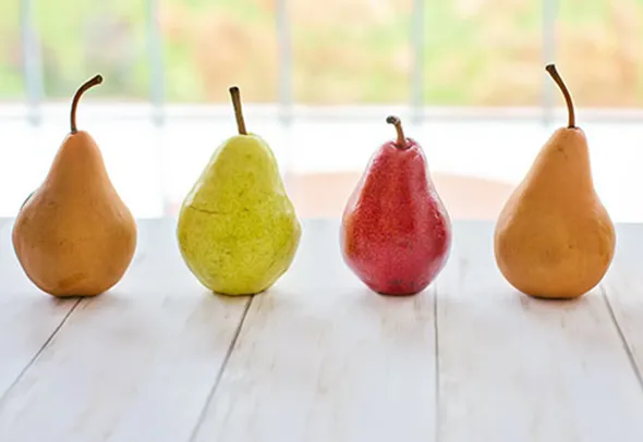 айва или квитовое яблоко: что это за фрукт. айва что это за фрукт. 2