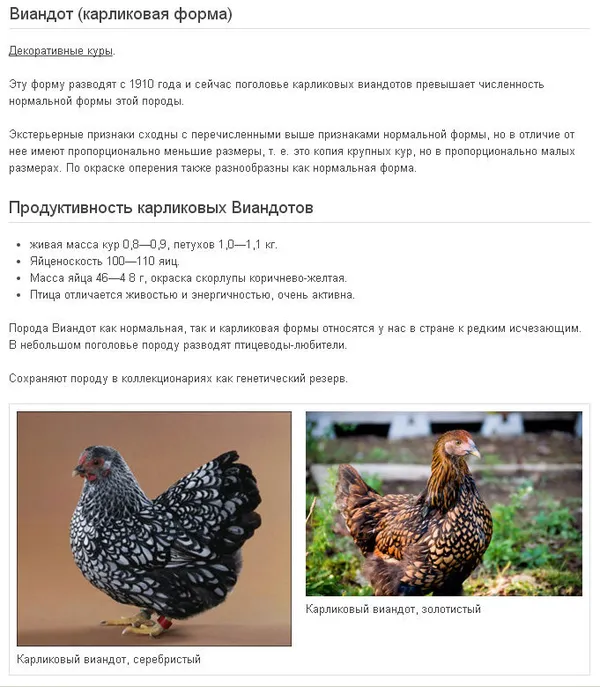 ✅ о курах суссекс: характеристики породы, разведение, условия содержания поголовья - tehnomir32.ru