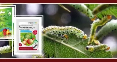 лепидоцид - биоинсектицид от гусениц. инструкция по применению