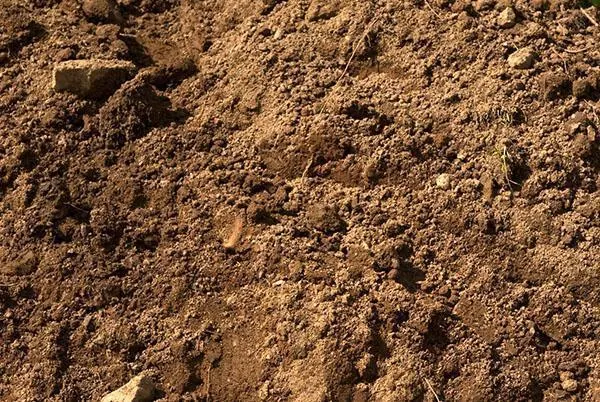 структура почвы