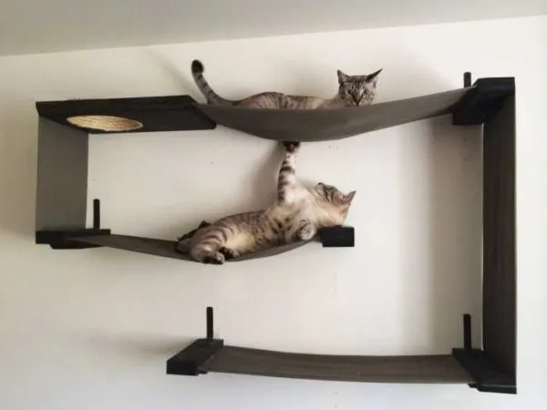 комбинация полок для кошек с гамаками. почти произведение искусства
