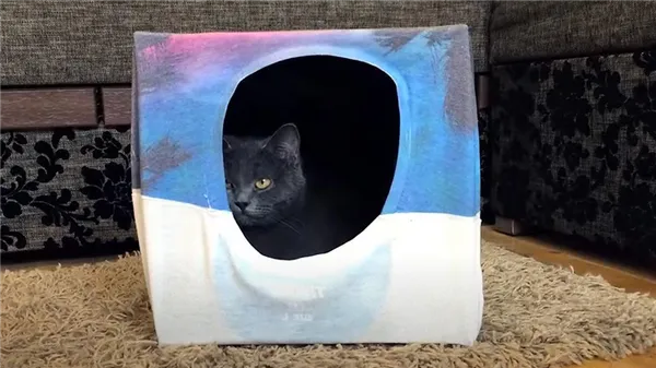 домик с кошкой из картонной коробки и футболки