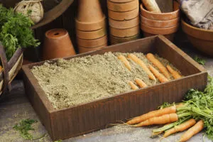 как сохранить морковь на зиму в песке
