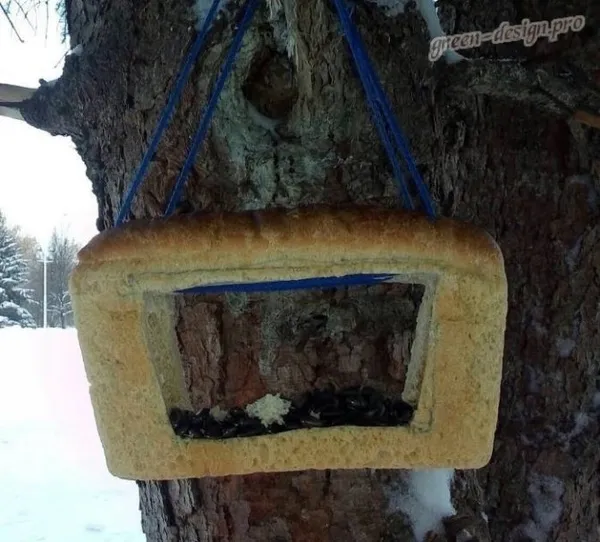 кормушка для птиц из хлеба