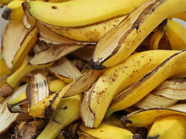 банановая кожура как удобрение для комнатных растений и огорода. удобрение из банановой кожуры для комнатных растений. 2