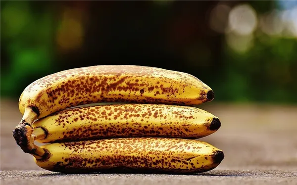 банановая кожура как удобрение для комнатных растений и огорода. удобрение из банановой кожуры для комнатных растений. 12