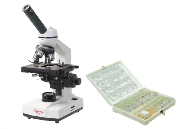 увеличительный прибор микроскопа