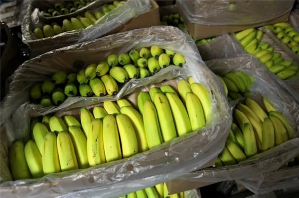 удобрение из банановых шкурок: 15 необычных способов их применения в огороде. удобрение из кожуры банана. 7