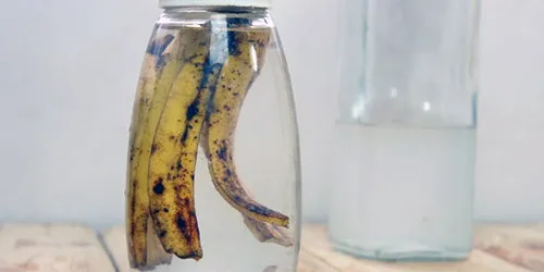 засушенная банановая кожура