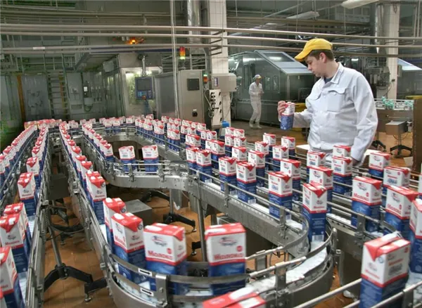 производство молока в россии