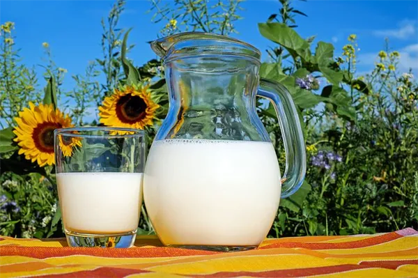 молоко от крс - производство