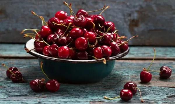 10 лучших средств для весенней подкормки вишни. чем подкормить вишню весной. 3