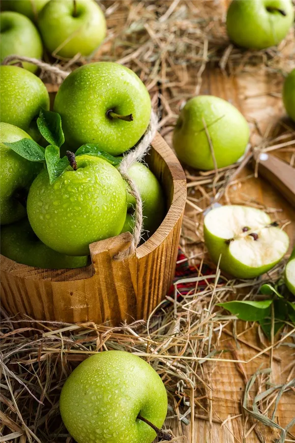 весенняя обработка яблонь от болезней и вредителей: разбираемся, когда и чем опрыскивать деревья
