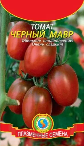 томат черный мавр – популярный сорт среди овощеводов-любителей. томат черный мавр характеристика и описание. 2