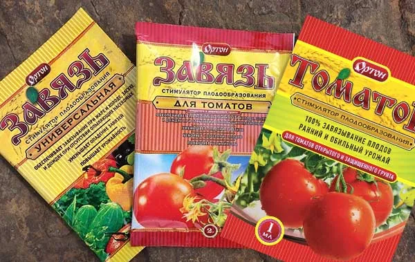 правила подкормки помидоров в теплице: какие удобрения и когда использовать для получения богатого урожая. подкормка томатов в теплице. 2