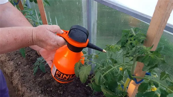 удобрения для томатов в теплице в период цветения