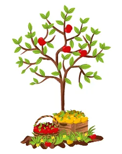 правила ухода за яблоней круглый год. секреты хорошего урожая