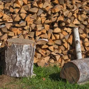 фото: заготовка дров