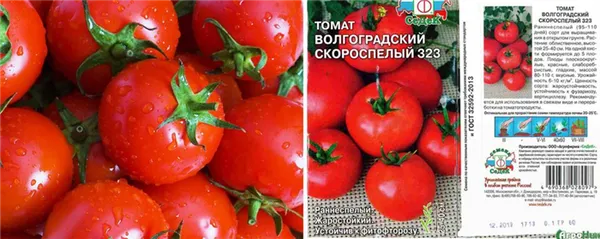 помидор волгоградский