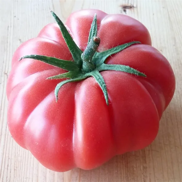 подборка томатов: 10 новых гибридов, которые вас покорят. момотаро голд томат отзывы. 3