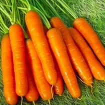 морковь «нантская 4»