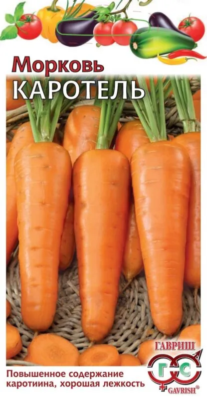 морковь каротель