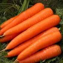 морковь «витаминная 6»