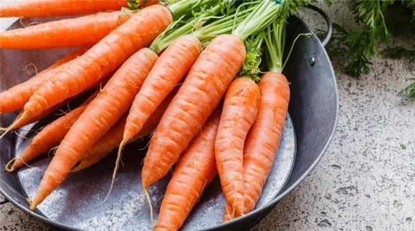 топ-80 самых лучших сортов моркови на любой вкус и цвет. сорта моркови с фото и описанием. 5