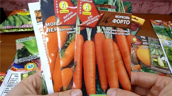 топ-80 самых лучших сортов моркови на любой вкус и цвет. сорта моркови с фото и описанием. 6