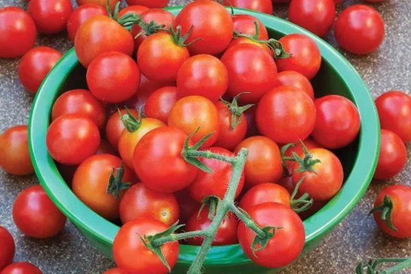 мелкие томаты