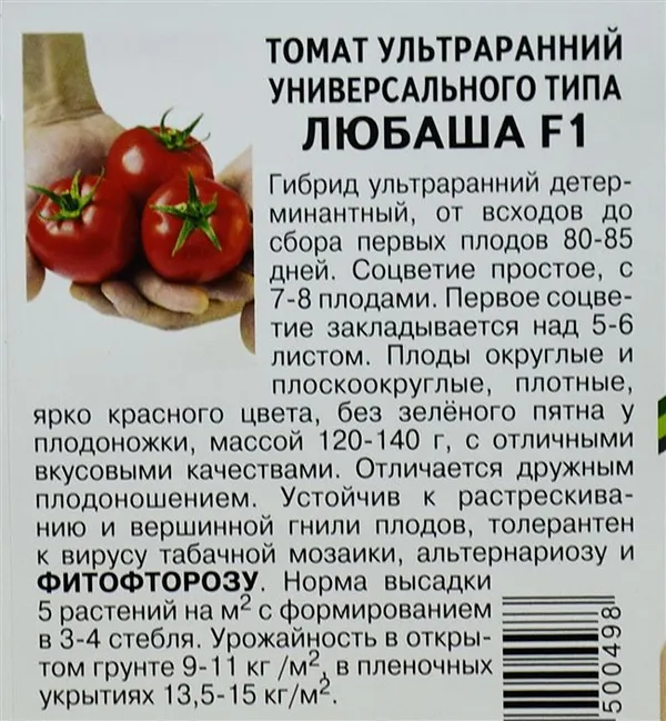 томат миллионер — описание сорта, урожайность, фото и отзывы садоводов. томат миллионер f1 характеристика и описание. 10