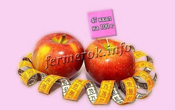 калорийность яблок гала примерно 47 ккал в каждых 100 г