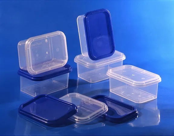 пластиковые пищевые контейнеры разрешается мыть в посудомоечной машине из-за устойчивости к теплу