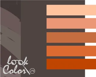сочетание серо-коричневого цвета (тауп) с оранжевым