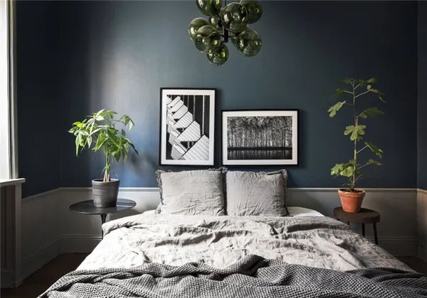 комнатные растения в интерьере спальни для мужчины