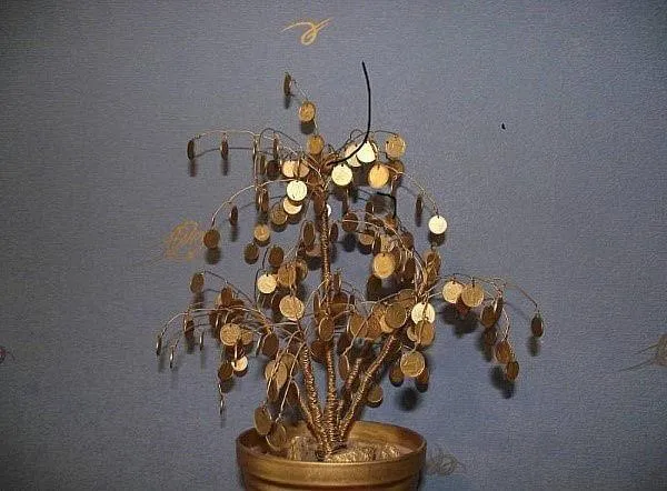 денежное дерево с ветками