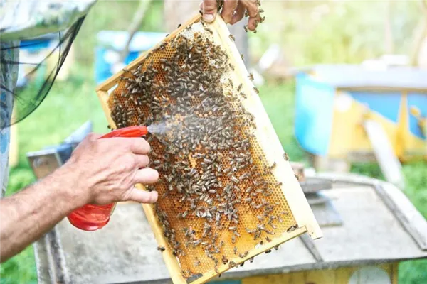 обработка пчел