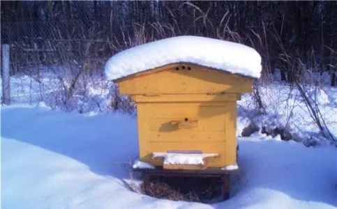 зима пчелиная