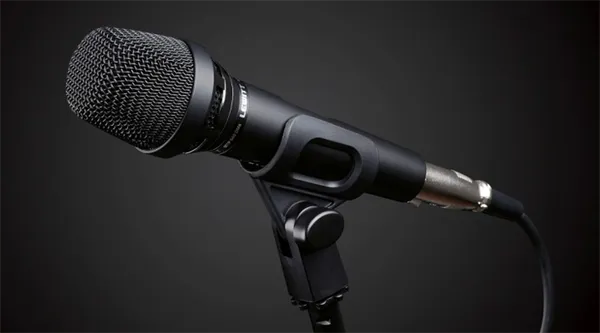 кардиоидный микрофон: особенности и лучшие модели. кардиоидный микрофон что это. 3